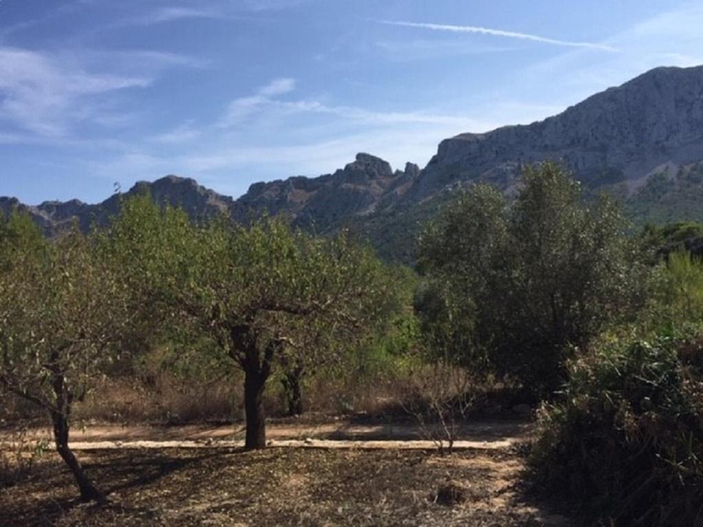 One Bed Apartment Overlooking Jalon Valley, Costa Blanca Alcalalí Exterior photo