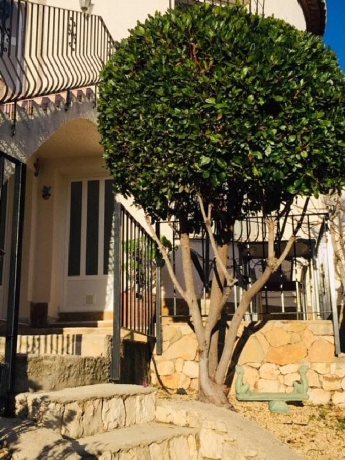 One Bed Apartment Overlooking Jalon Valley, Costa Blanca Alcalalí Exterior photo