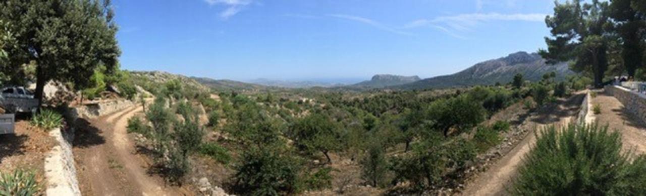 One Bed Apartment Overlooking Jalon Valley, Costa Blanca Alcalalí Exterior photo