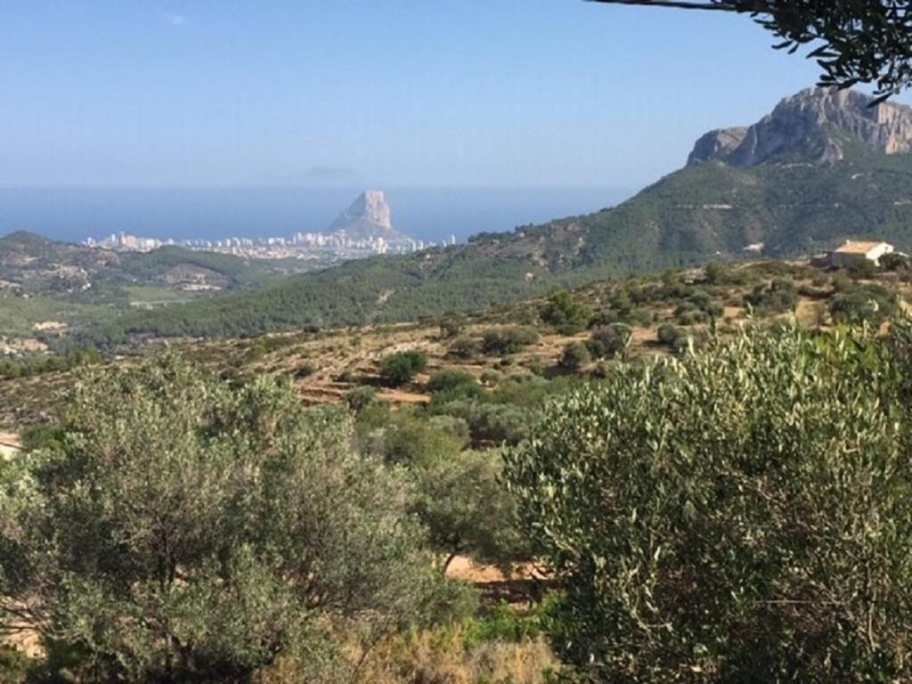 One Bed Apartment Overlooking Jalon Valley, Costa Blanca Alcalalí Exterior photo